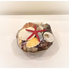 Antioch Art and Design Dekoratif Deniz Yıldızlı Deniz Kabuklu Sepet Masa Üstü Dekoratif Süs Sepet Hediyelik Eşya 11 cm