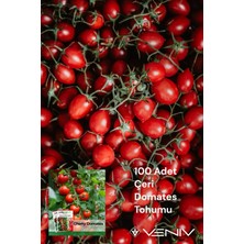 Veniv 100 Adet Çeri Domates Tohumu