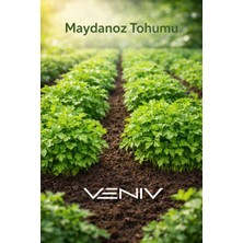 Veniv 400 Adet Maydonoz Tohumu- Aldığınız Kadar Tohum Tek Pakette Gönderilir