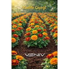 Veniv 10 Adet Kadife Çiçeği Tohumu- Aldığınız Kadar Tohum Tek Pakette Gönderilir