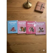 Yapı Kredi Yayınları Ayşegül Serisi 4 kitap bir arada Özel Bir Gün Masallar Diyarında Arkadaşım Karakaçan Fındık Kayıp"