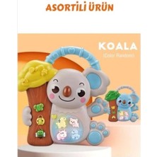 Sora Home 8808-C Koalalı Piyano 8 Li Box -Cn