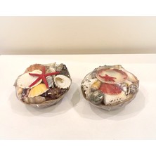 Antioch Art and Design Dekoratif Deniz Yıldızlı Deniz Kabuklu Ikili Sepet Masa Üstü Dekoratif Süs Sepet Hediyelik Eşya 11 cm