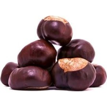 Nk Organik Yenilmez At Kestanesi Tane 50GR