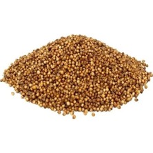 Kişniş Tane Kinzi 500 gr
