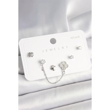 Renas Store 925 Ayar Gümüş Çivi Pirinç Gümüş Renk Zirkon Taşlı Yonca Model Sallantı Zincir Detay Kadın Küpe Set