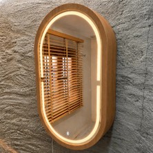 Aypars Atölye 30X53X12 cm 3000K Günışıklı LED Dimmable Banyo Aynası Dolaplı – Modern Duvar Tipi Oval Tasarım (Tik)