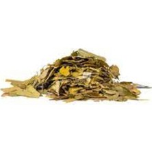 Ginkobiloba Yaprak 50 gr