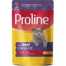 Dana Etli Kedi Konservesi 85G