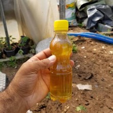 Taber Kaktüs ve Sukulentler İçin Özel Gübre
