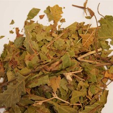Ceviz Yaprağı Yeni Mahsul 50 gr