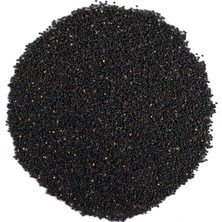Siyah Hardal Tohum Tane (Brassicanigra) 1000 gr