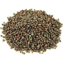Hardal Tohum Tane Siyah 50 gr
