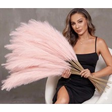 Okalina Demet Pampas Dökülmeyen Cins 3'lü 55 cm