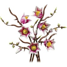 MarkEntegra LEGO Botanicals Manolya Dalları 11510 - Yetişkinler Için Cupcake Parçaları ve Kahverengi Kurbağalar Dahil Çeşitli Detaylar Içeren Çiçek Buketi Model Yapım Seti, Hediye Fikri (435 Parça)