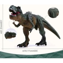 MarkEntegra T-Rex Süper Gerçekçi Dinazor Trex Figür 30 cm Kapanıp Açılabilen Ağız Hediye Oyuncak Dinozor, Çok Renkli