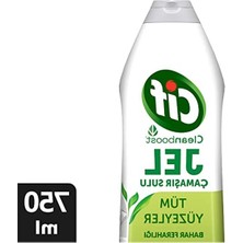 MarkEntegra Cif Jel Yüzey Temizleyici Cleanboost Tüm Yüzeyler Için Leke Çıkarıcı Çamaşır Sulu Bahar Ferahlığı 750 ml