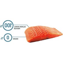 MarkEntegra Somonlu Tahılsız Kısırlaştırılmış Yetişkin Kedi Maması 7 kg