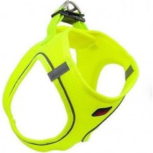 Renas Store Göğüs Tasması Xsmall 32X36 cm Neon Lime