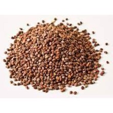 Medite Siyah Turp Tohum Tane 100 gr