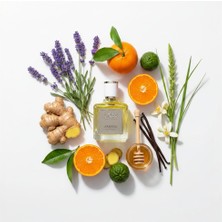 Noss Parfüm -Amaris- Eau De Parfum For WOMEN-100 ml