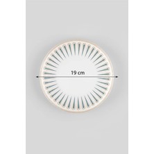 12'li Valencia Pasta Tabak 19CM Dijital Sierra Rinart