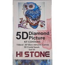 Hi Stone 5d Elmas Taş Işleme Kiti 30X30 cm Mavi Baykuş Desen
