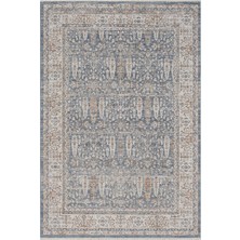 Cool Halı Seremoni Mavi Bej Vintage Halı Yumuşak Dört Mevsim Pati Dostu Klasik Desen Salon Oturma Odası Halısı