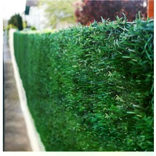 Msy Garden Fenc Hat Tel Çit Çim Çit Örgü Telli Bahçe Çiti 80 cm x 5 mt