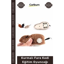 Carlburn #petshop Interaktif Hareketli Mekanik Avcılık Içgüdü Geliştiren Kurmalı Fare Kedi Eğitim Oyuncağı
