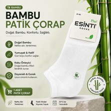 Qulat Erkek Bambu Patik Çorap Tekli – Yumuşak & Dayanıklı