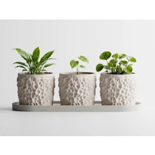 Tüyak Production Piccola Dekoratif Saksı - Taş Görünümlü Saksı Seti 10 cm