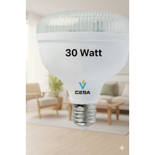 Cesaa Elektrik Horoz Elektrik 30 Watt Crystal Beyaz Işık 30W Kristal LED Ampul