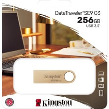 Kingston 256GB DTSE9G3/256GB