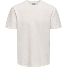 Only & Sons Onskian Pamuklu Regular Fit Bisiklet Yaka T Shirt Erkek T Shirt 22028692