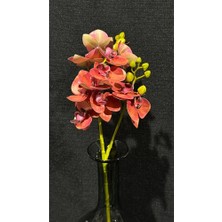 Greeneye Home Yapay Orkide 2'li Dal Bordo 60 cm