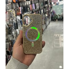 Ege Case