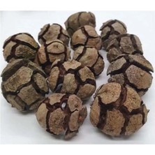 Medite Servi Kozalağı (Cupressussp) 500 gr
