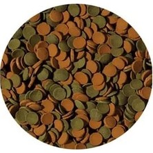 Tropical Mini Wafers Mix Kovadan Bölme 100GR