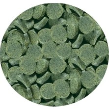 Sera Spirulina Tabs Kovadan Bölme 50AD