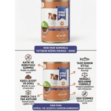 Enjoy Paw Paw Somonlu Yetişkin Konserve Köpek Konservesi 400 gr