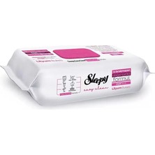 Gray Line Gry Yüzey Temizlik Havlusu 100 Adet Lilyum Pembe Nel1