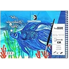 Aesco Spiralli Sulu Boya Defteri 300 Gr. 12 Yp. A3 ALX-3913