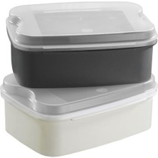 Aesco Masal Saklama Kabı, Renkli 1600 ml