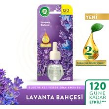 Air Wick Elektrikli Yedek Oda Kokusu Başlığı Lavanta Bahçesi