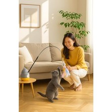 Aesco Busstier Kedi Oyun Oltası (Standart, Balıkçı)