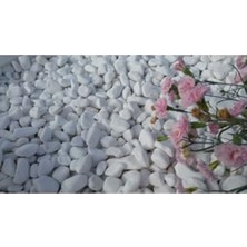 Aesco Dolomit Taş 2 kg 15-25 mm Dekoratif Vazo Akvaryum Teraryum Taşı Beyaz Dolomit Taşı Renkli