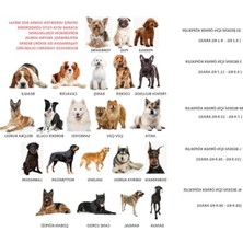 Aesco Köpek Tasması Gövdelik ve Göğüslük Otomatik Toplama Rahat ve Konforlu Yürüyüş Tasma (Xs)