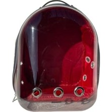 Aesco Snake Şeffaf Astronot Kedi Köpek Taşıma Çantası 42X22X33 cm Sarı