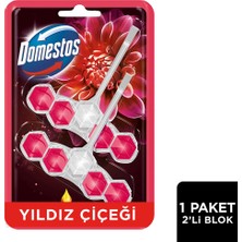 4 Adet Domestos Wc Blok Yıldız Çiçeği & Ejder Meyvesi 2 x 50 gr